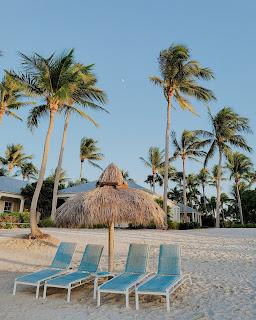 Y un día volvimos a volar! Florida con sorpresa y abrazos