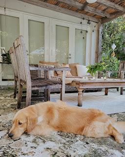 Y un día volvimos a volar! Florida con sorpresa y abrazos