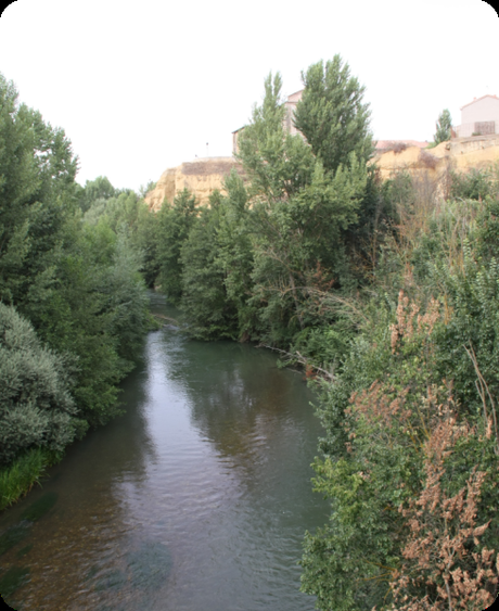 Edén en Carrión de los Condes