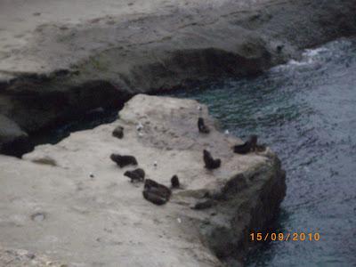 Reserva Natural y turística de Punta Pirámides Reserva Natural y turística de Punta Pirámides