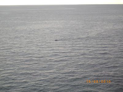 Reserva Natural y turística de Punta Pirámides Reserva Natural y turística de Punta Pirámides