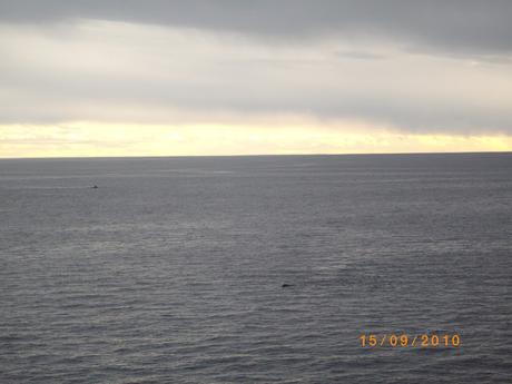 Reserva Natural y turística de Punta Pirámides Reserva Natural y turística de Punta Pirámides