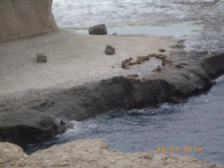 Reserva Natural y turística de Punta Pirámides Reserva Natural y turística de Punta Pirámides