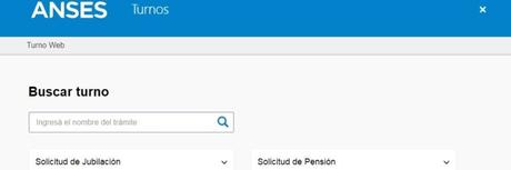 MI ANSES Turnos Presenciales