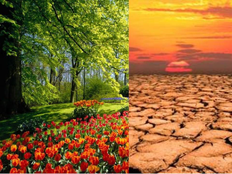 POR QUÉ LOS HOMBRES NO SOMOS IGUALES