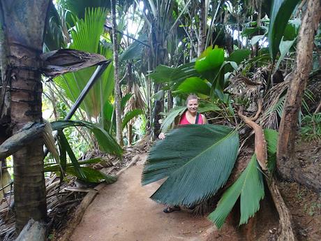 SEYCHELLES : LA RESERVA NATURAL DEL COCO DE MAR EN PRASLIN SEYCHELLES : LA RESERVA NATURAL DEL COCO DE MAR EN PRASLIN