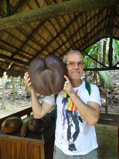 SEYCHELLES : LA RESERVA NATURAL DEL COCO DE MAR EN PRASLIN SEYCHELLES : LA RESERVA NATURAL DEL COCO DE MAR EN PRASLIN