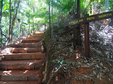 SEYCHELLES : LA RESERVA NATURAL DEL COCO DE MAR EN PRASLIN SEYCHELLES : LA RESERVA NATURAL DEL COCO DE MAR EN PRASLIN