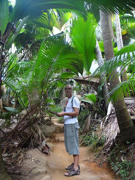 SEYCHELLES : LA RESERVA NATURAL DEL COCO DE MAR EN PRASLIN SEYCHELLES : LA RESERVA NATURAL DEL COCO DE MAR EN PRASLIN