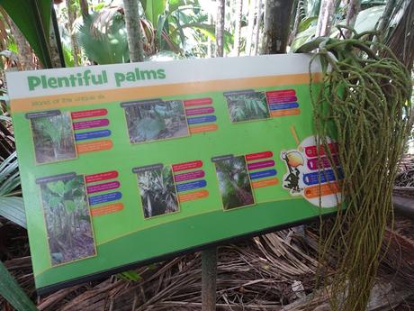 SEYCHELLES : LA RESERVA NATURAL DEL COCO DE MAR EN PRASLIN SEYCHELLES : LA RESERVA NATURAL DEL COCO DE MAR EN PRASLIN