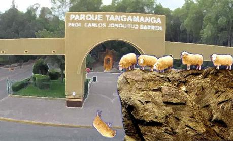 Opinión: Defender los borregos del Tangamanga como borregos