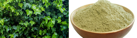 celulitis2 celulitis2