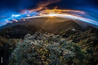 Fundación Futuro participa en el Foro Internacional de Sostenibilidad organizado por la Cámara de Industrias y Producción