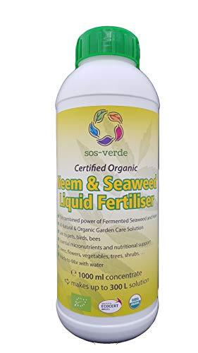 Aceite Neem Mercadona ▷▷ Compra el mejor Aceite Neem Mercadona ▷▷ Compra el mejor