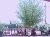 ¿dónde está justicia plan justicia?