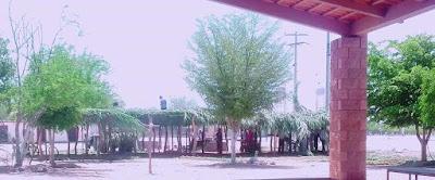 ¿DÓNDE ESTÁ LA JUSTICIA DEL PLAN DE JUSTICIA? ¿DÓNDE ESTÁ LA JUSTICIA DEL PLAN DE JUSTICIA?