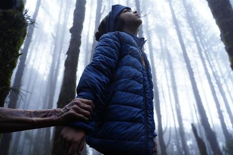 TARUMAMA -LA CABAÑA EN EL BOSQUE TARUMAMA -LA CABAÑA EN EL BOSQUE