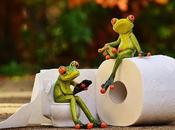 alimentos ayudan regular