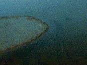 PUENTE VARSOVIA Pere Portabella