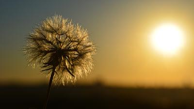 Early morning wish Early morning wish