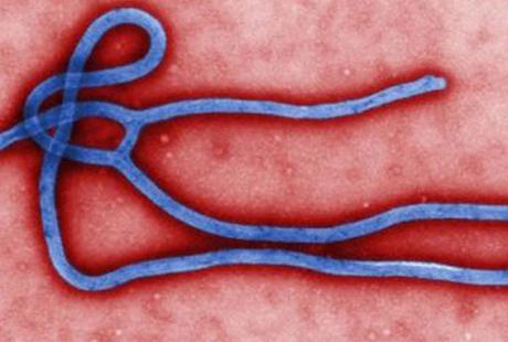 El virus COVID-19: ¿natural o creado?