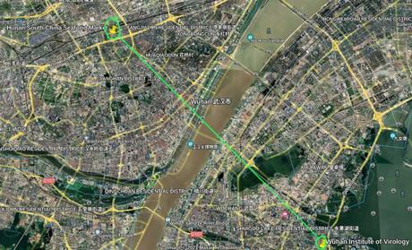 El virus COVID-19: ¿natural o creado?