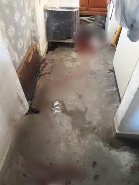 Apuñalan a perro al norte de la Capital, ya se investiga el caso