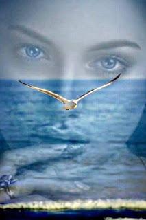 4.771 - VEREMOS LUEGO...