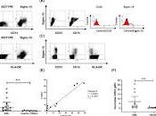 Nueva terapia dirigida para leucemia mieloide aguda.