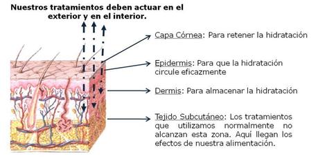 ¿Te estás hidratando correctamente la piel?