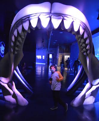 Atlantis Aquarium de madrid, un viaje a las profundidades sin salir del centro comercial.