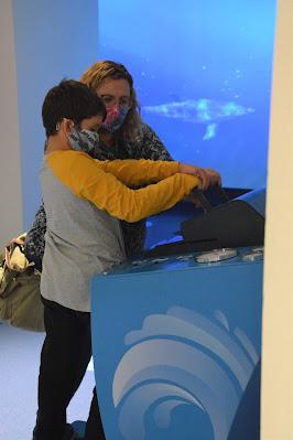 Atlantis Aquarium de madrid, un viaje a las profundidades sin salir del centro comercial.