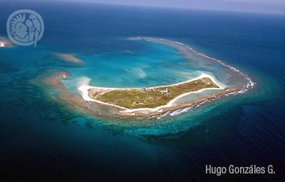 Ecosistemas X: Islas