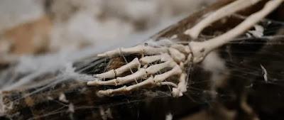 ¿Qué le pasa a nuestro cuerpo desde que morimos hasta que nos convertimos en un esqueleto?