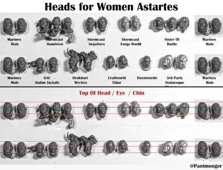 Una ayuda para hacer Astartes femeninas: cabezas y comparación de tamaño