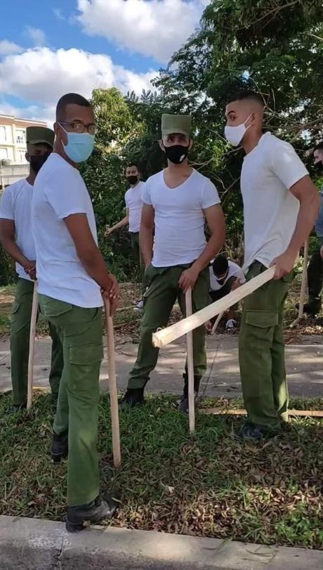 Motor social. Motor social.