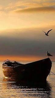 4.776 - SE VAN TU DÍAS...