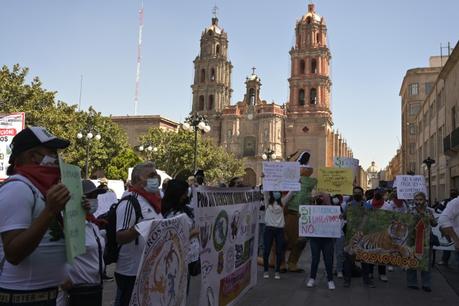 Marchan para solicitar una Ley de Bienestar Animal razonada