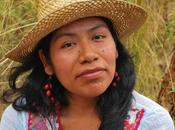 Desaparece Irma Galindo, defensora bosques Oaxaca