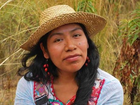 Desaparece Irma Galindo, defensora de los bosques en Oaxaca