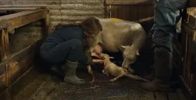 LAMB (Islandia, 2021) Fantástico LAMB (Islandia, 2021) Fantástico