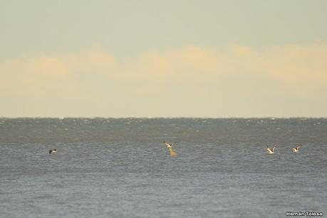 Visitando Balneario Los Pocitos