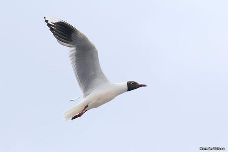 Visitando Balneario Los Pocitos