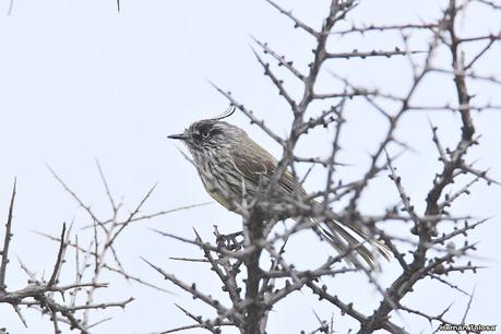 Visitando Balneario Los Pocitos