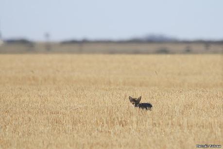Visitando Balneario Los Pocitos
