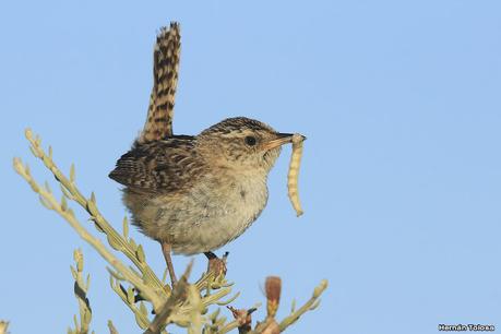Visitando Balneario Los Pocitos
