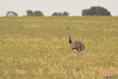 Visitando Balneario Los Pocitos
