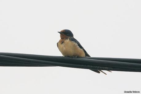 Visitando Balneario Los Pocitos