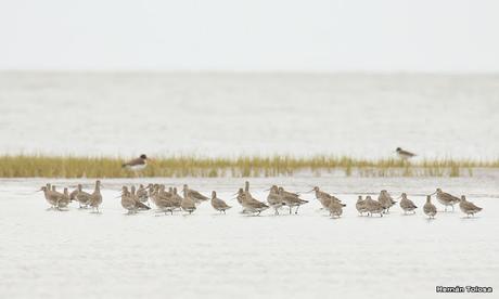 Visitando Balneario Los Pocitos
