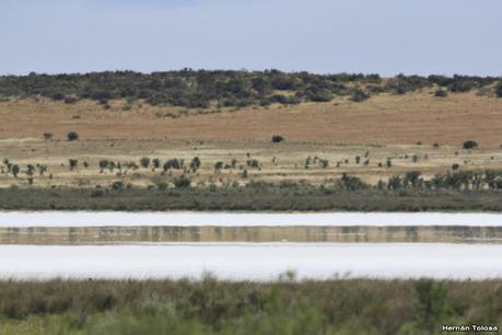 Visitando Balneario Los Pocitos